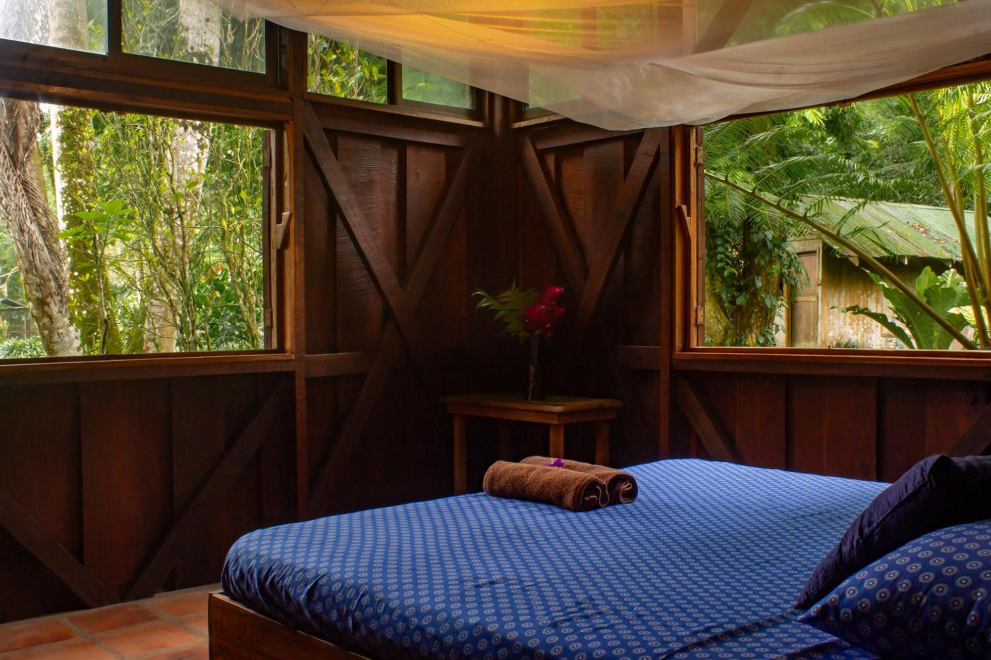 Casa Heliconia - Spacious, Big Garden, Close To The Beach Puerto Viejo de Talamanca Exteriör bild