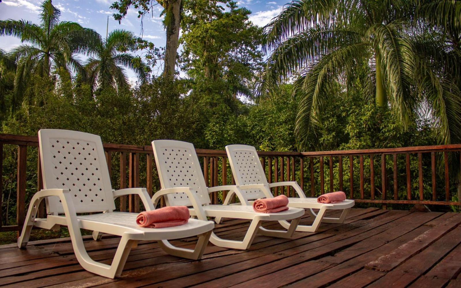 Casa Heliconia - Spacious, Big Garden, Close To The Beach Puerto Viejo de Talamanca Exteriör bild